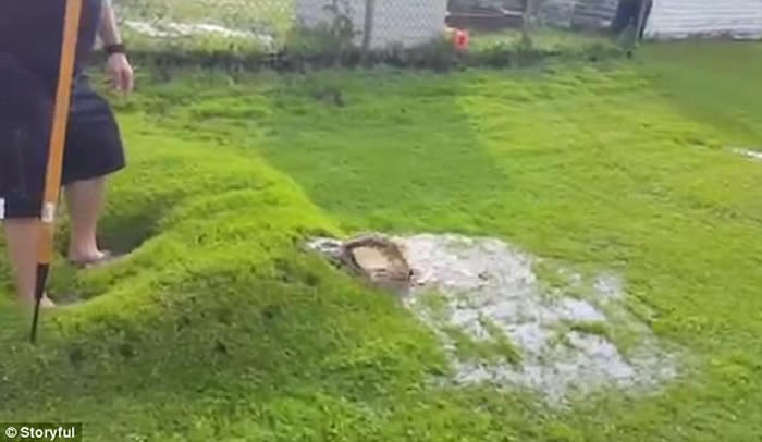 ������Ϧ�������ݾ����Ժ��Ƥ����¡��ġ���ɫˮ���� ͱ�������ɫ�ཬ