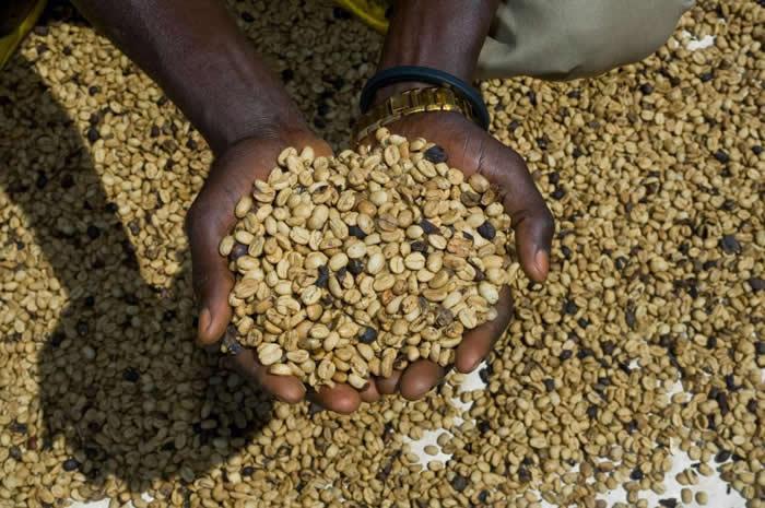 �ղ��ա�δ���ӹ��ġ��̡����ȶ��� PHOTOGRAPH FROM DESIGN PICS, NATIONAL GEOGRAPHIC CREATIVE