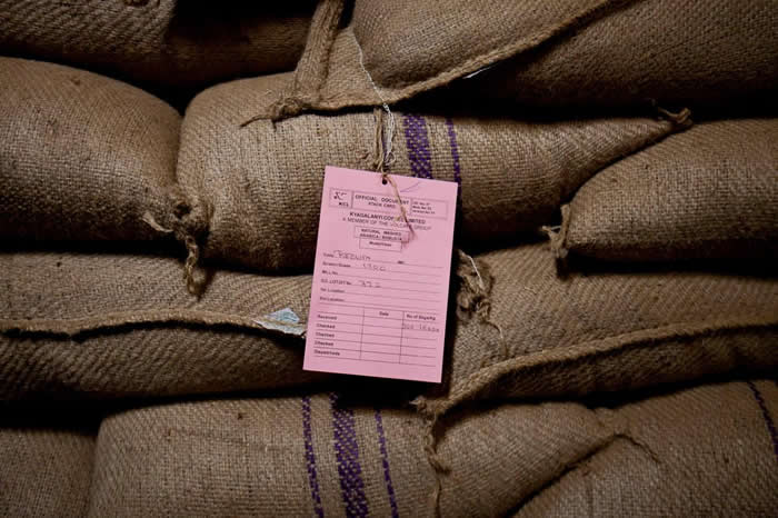 ��������Kyagalanyi Coffee Ltd������һ����׼�����ڵĿ��ȶ��� PHOTOGRAPH BY TREVOR SNAPP, BLOOMBERG V