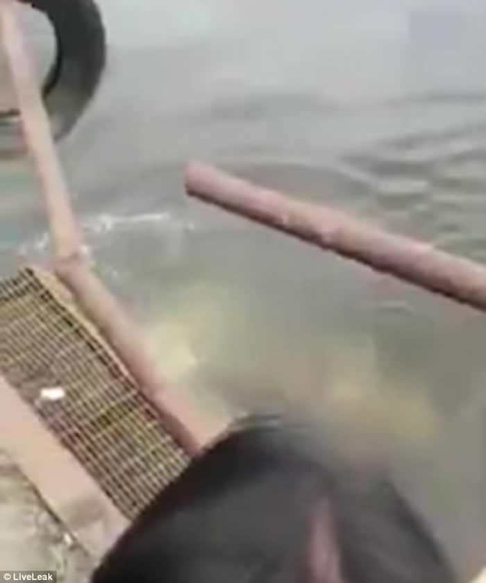 印尼东加里曼丹省巫师称有超能力阻止鳄鱼靠近 终被拖入水溺毙