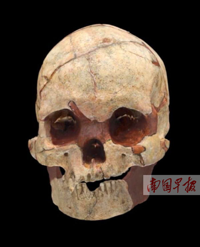 这具人类头骨化石距今1.6万多年,与山顶洞人的年代大致相同。 广西文物保护与考古研究所提供