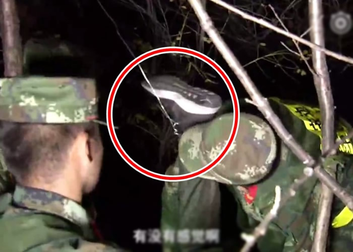 ������ĵ��������������ɭ��������׽Ұ������ ��Ұ���ŵ��Լ����б�����