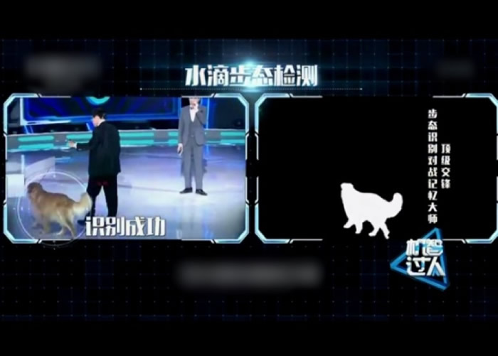 识别系统同时亦可应用在动物身上。