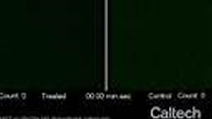 在30分钟或不到的时间内检测抗生素敏感性可帮助医生应对难治性细菌
