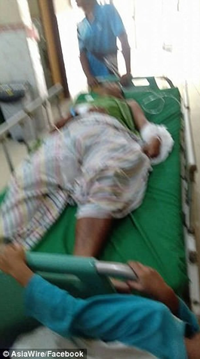 印尼廖内省男子徒手打死7米大蟒蛇勇救途人