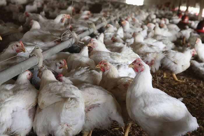 ʩڶϵĿأҽ;ʩϵĻࡣֿɴٽüʵ顣 PHOTOGRAPH BY SCOTT OLSON, GET