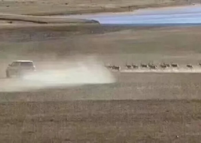 ɿﱣֱʾԱԽҰʻ漴ǰֹ