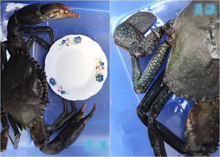 �㽭���������ں���׽���ش�1.6����Ұ������з