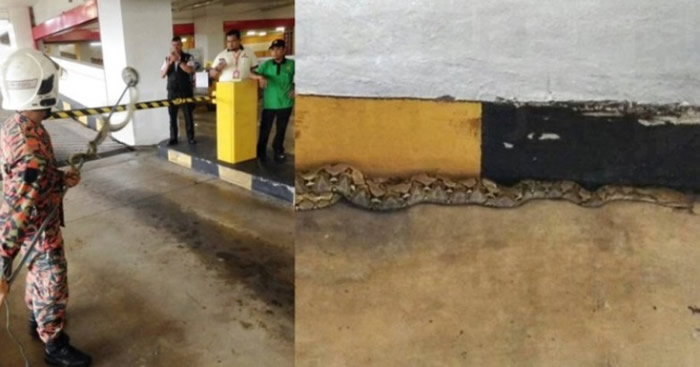 ��������ѩ��ݭ���㳡ͣ��������1.8�״�����