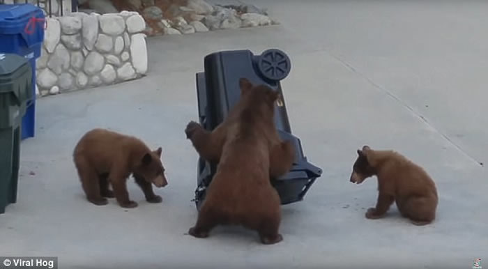 ���������������С�ܱ����������Է���������