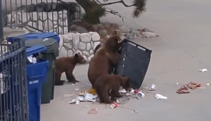 ���������������С�ܱ����������Է���������