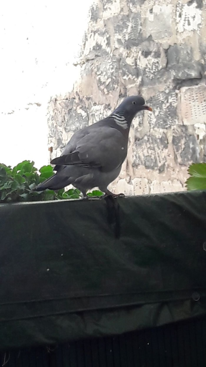 �׸��¥����ɲ�����١����������㣩