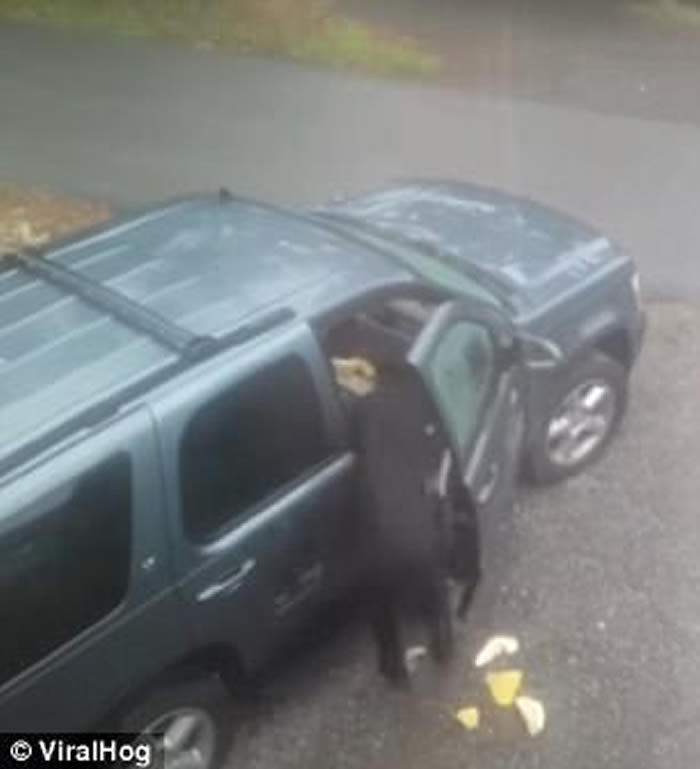 ���������������ӷ���һ�Ժ���ĸ�Ӵ���������