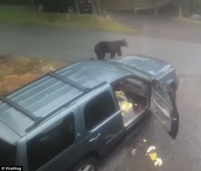 ���������������ӷ���һ�Ժ���ĸ�Ӵ���������