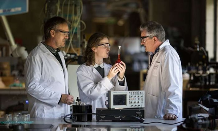 �Ŷ������պ�ɰѼ���Ӧ�����ռ�����������ҽҩ�ȷ��롣