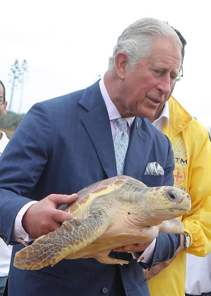 ���˹�����۱���������