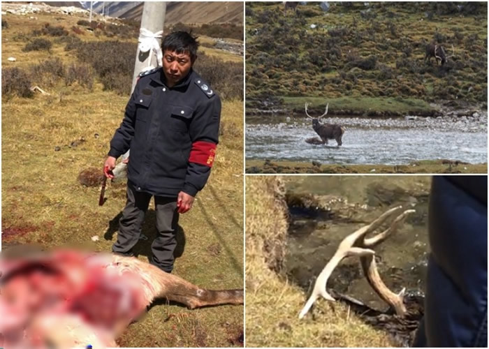 Ӳҵ־ʵ֤ʵüȷΪϽԱ