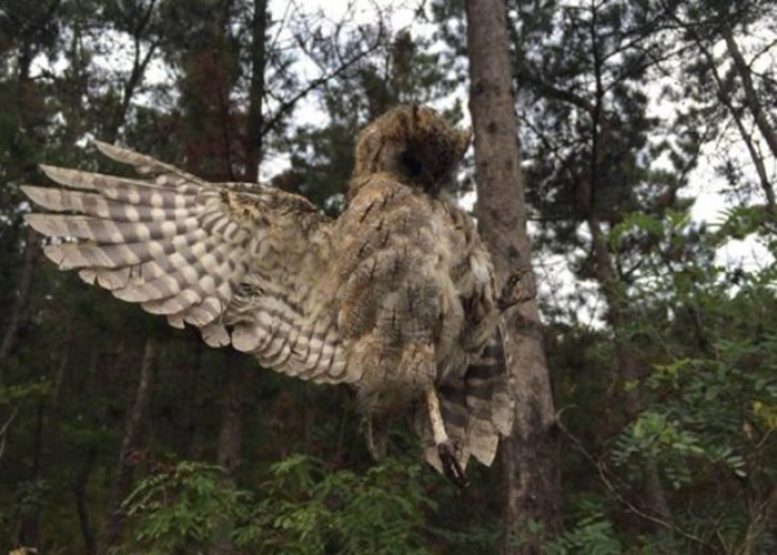 ���в������Ҷ����������ࡣ