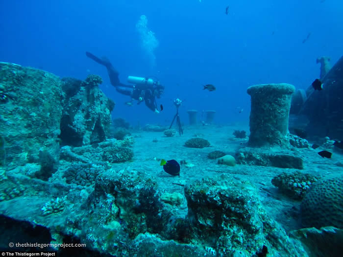 免二战武装商船SS西斯尔戈姆号遭破坏 英国诺丁汉大学的考古学家制3D模型助研究