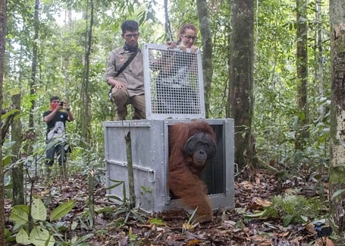 ���ɻع����Ȼ��