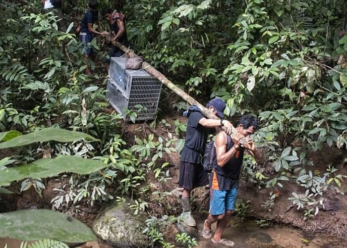 ���ְ�̧������