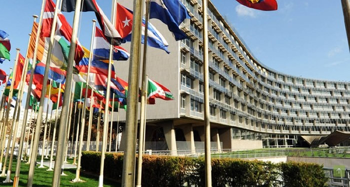 �����������˳����Ϲ��̿�����֯ �Ա���Ը���֯������ɫ�б���ƫ�����Ĳ���