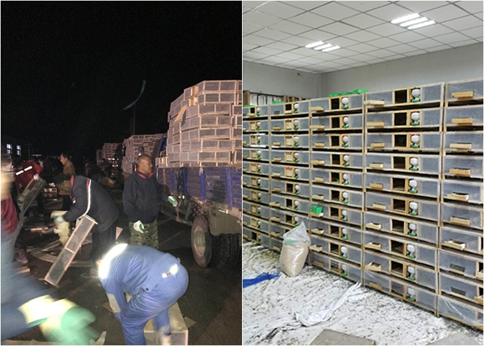 ���������ʹ����в�������ֻ�Ƿ��չ��Ļ���Ұ�񲢽��зŷɡ�