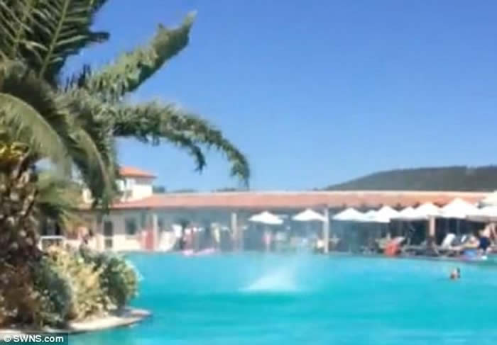 ϣ�����̵��Ƶ�¶��Ӿ�ؾ�����΢��������