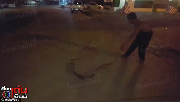 泰国巨蟒缠绕3小时不放 柬埔寨古法1招搞定