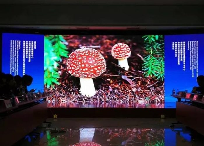 专家在会议上发布有关研究成果。