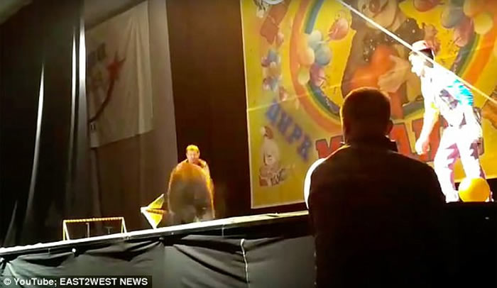 俄罗斯马戏团棕熊演出时攻击人 惨遭工作人员棒打