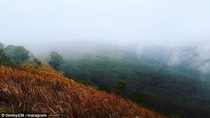 澳洲母子迷失新南威尔士省国家公园丛林10日 靠《人在野》保命