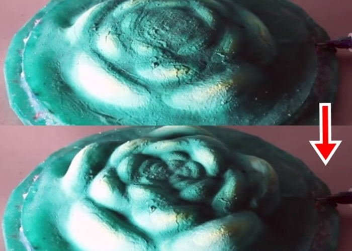 胶制人工皮肤极具弹性。