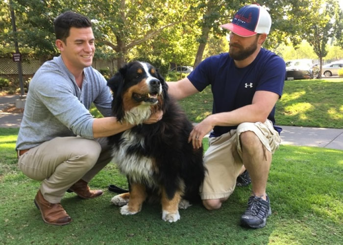 Τ��������Izzy�ؾۡ�