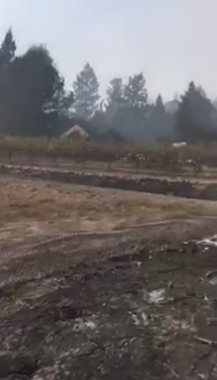 Τ����·�����ս���ɽ�֡�