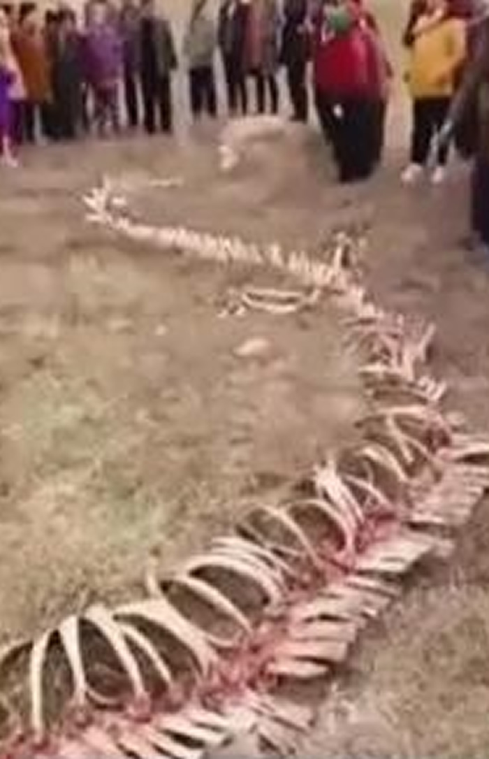 �ӱ�ʡ�żҿ��о���18�׳����ǣ�