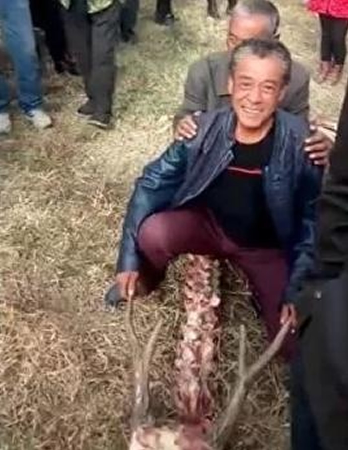 �ӱ�ʡ�żҿ��о���18�׳����ǣ�