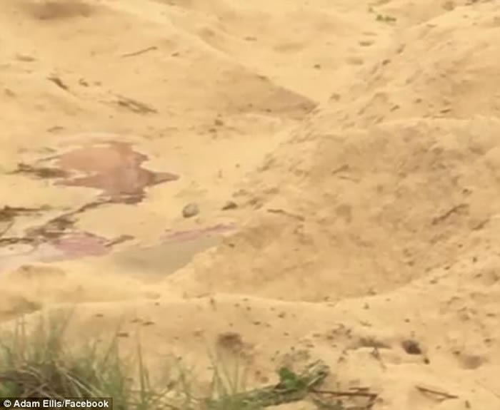 ʿɳ̲֡Ѫɽ ҵһ߾ʬ