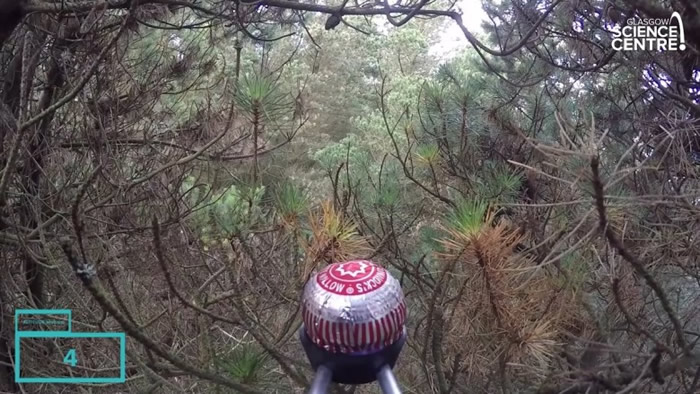 泰利降落在加洛韦森林公园。