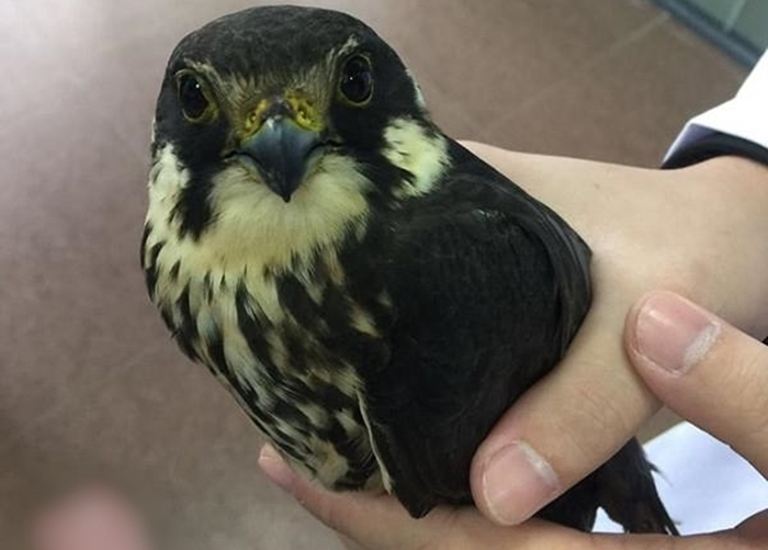 �������������зɵ�����ҽԺ�ſڡ���ҽ����