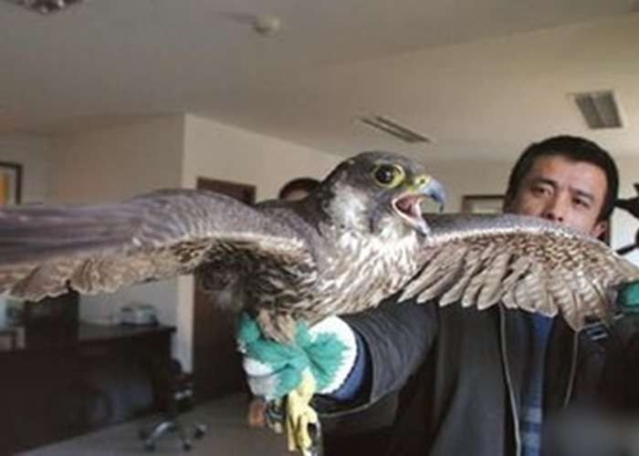 Ұ���������վ���ᾡ�콫�������ߡ�