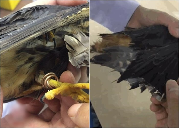 ��������ϵķ����˼�����������ϻ�������ͭ���ƳɵĻ���