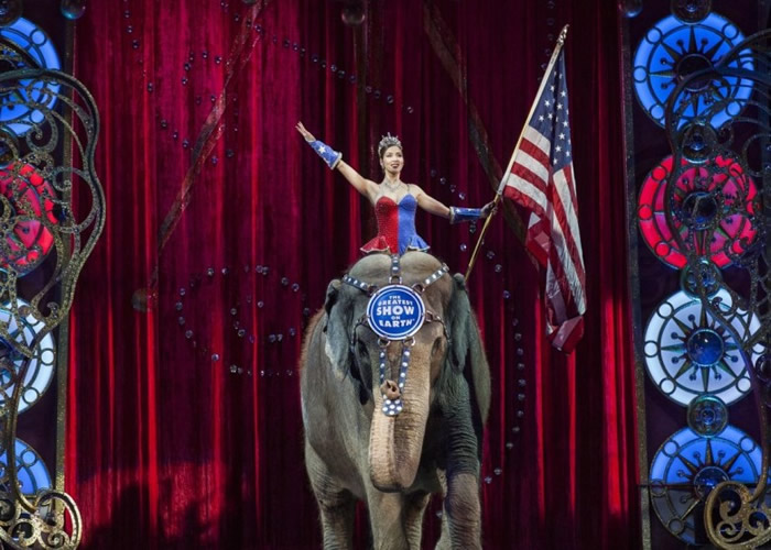 ������Ϸ�Ž�ҵǰ��ѵ��������ݡ�