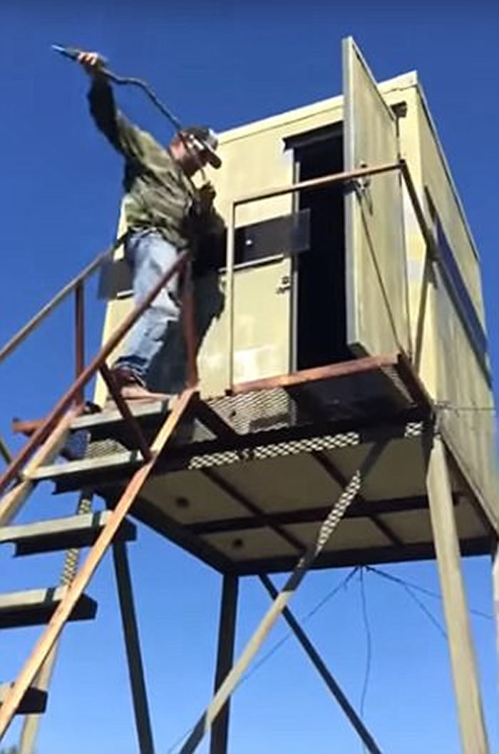 美国一只浣熊施展神乎其技 “飞天”脱离猎人追捕