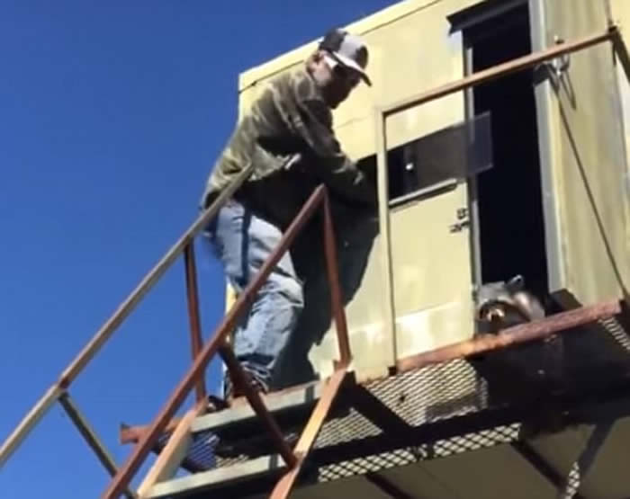 美国一只浣熊施展神乎其技 “飞天”脱离猎人追捕