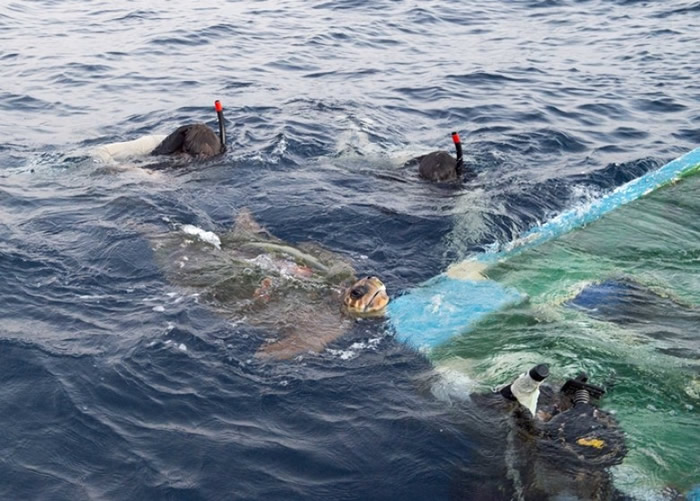 ��Աʹ�����ľȳ����ꡣ