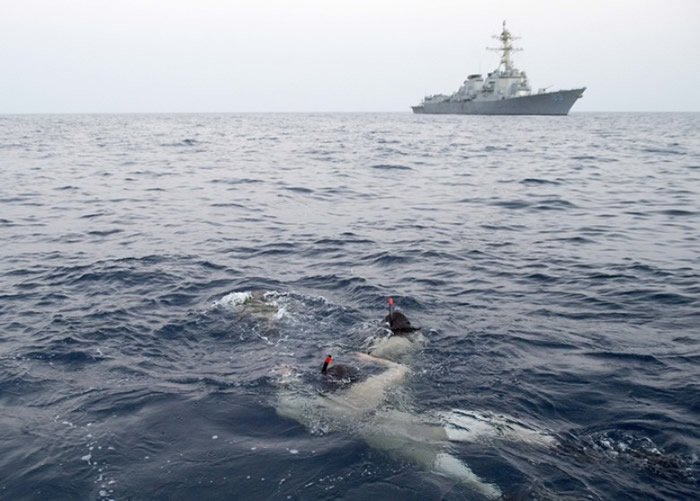 ���������ػ����ɡ�