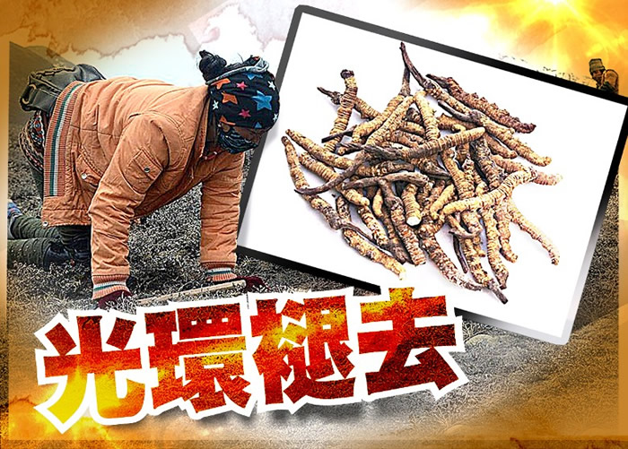 �о����ֲ������Ĳ��в�������ؼ�����˾��������