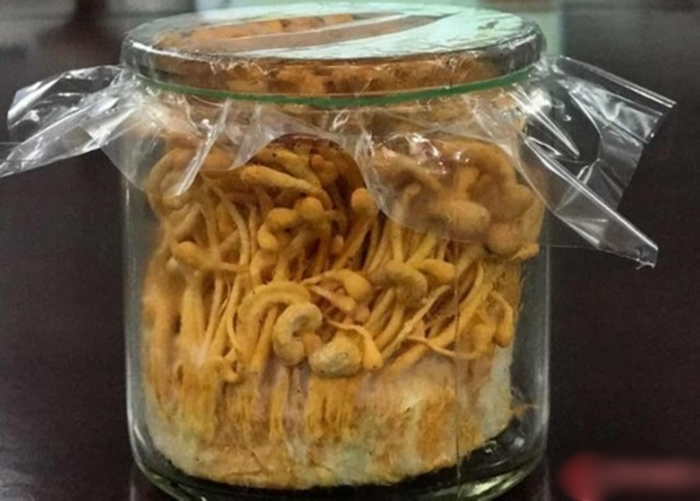 Ӽ����ܺϳɾ��п������Եġ���˾��������