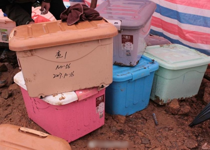 大量古钱币被发掘出土,重达4000多公斤。